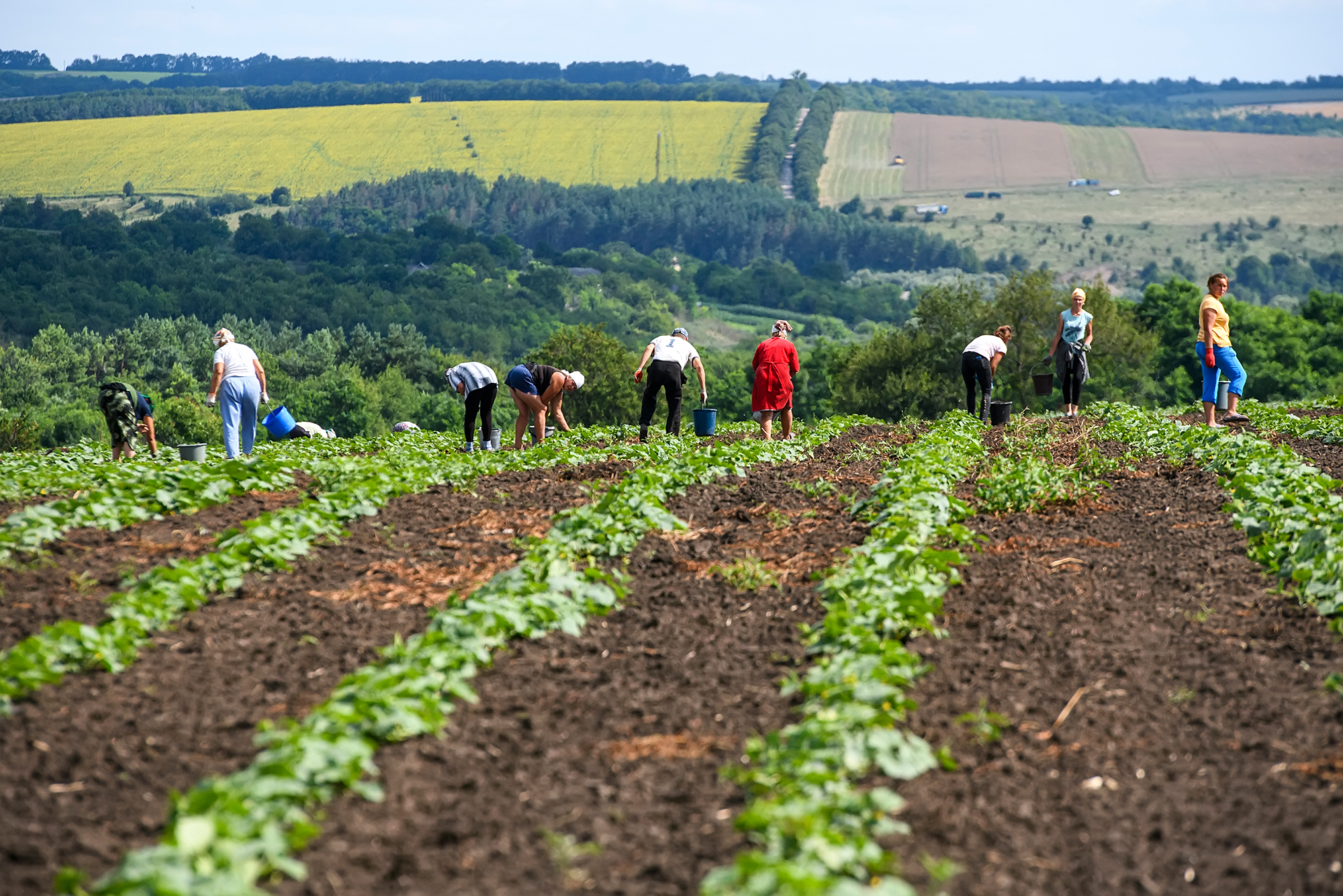 Борги, суди і зони відселення. Що не так з пільгами "чорнобильцям" в Україні